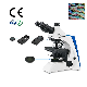  1000X Student Microscope with Amscope Trinocular Microscope for Hot