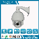 Hot Selling 120m IR Dome PTZ CCTV Camera (SHJ-BL36B)