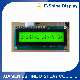  1601 STN Character Positive LCD Module Monitor Display