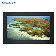 43 Inch Multimedia Full HD LCD Display