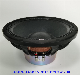12 Inch Neodymium Professional Sound PRO Audio Woofer PA Line Array Speaker