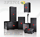  Srx700 Speaker System Style 2-Way Top Quality PRO Audio (YS-2001)