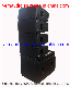  Double 10inch Speaker Line Array System Line Array Box (V20 YZ)