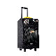 Temeisheng Qx-1214 Wooden Case Trolley Outdoor Speaker