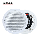  3W-15W 6.5 Inch Coaxial Ceiling Speaker for PA Background Music System