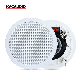 3W-15W 6.5 Inch Coaxial Ceiling Speaker for PA Background Music System