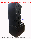 Double 10inch Speaker Line Array System Line Array Box (V20 YZ)