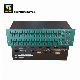  Professional Dual 30-Band Graphic Equalizer Audio (FCS 966)