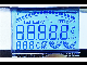  Custom FSTN Stn Htn Tn LCD Panel LCD Screen LCD Display for Temperature Pressure Sensor