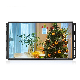 Factory 13.3 Inch LCD TFT Full Flat HD IPS Panel Capacitive Touchscreen Monitor