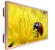  Outdoor Wall Mount 43/55/65′′ Interactive Touchscreen LCD Monitor