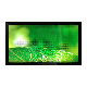 21.5 Inch TFT LCD Touch Monitor with Projected Capacitive Touch Screen