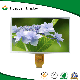  7 Inch 18 LEDs RGB Interface LCD TFT LCD Display