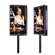 27" High Resolution High Performance Double Side LCD Monitor