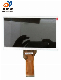  7 Inch TFT LCD Display 800* 3 (RGB) *480 Anti-Glare with Digital Interface