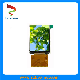 2.8 Inch 240*320 Dots TFT LCD Display IPS LCD Screen for Smart Home