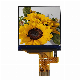  Low-Pincount 1.3-Inch TFT LCD Display with 240X240 Resolution - Employed in Wearables