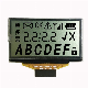 China 7 Segment Display 4 Digit Screen Tn Transflective Positive Segment LCD