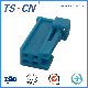  Tscn Automotive Cable Wire Harness Female Plug Terminal Speaker Connector Tslb39-02p-21-4