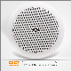 30W PA System Surround Sound in Ceiling Mount Speaker Waterproof Speaker