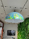  Directional Audio Pendant Dome Speaker for Museums, Restaurants, Exhibitions, Hotels, and Libraries