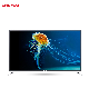  OEM LCD 50inch 4K LCD TV Artificial Intelligence WiFi Models Tempered Explosion-Proof