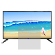 Television Factory 32 42 49 Inch Good Price LED Smart TV