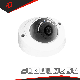 2MP Security Surveillance CCTV IP Network Vandal Proof Mini Dome Camera