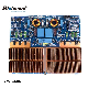 Sinbosen Professional High Quality Audio Power Amplifier Fp10000q Power Amplifier Board