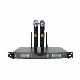  PRO Audio Wm Dual Channel Handheld Wireless System Diversity UHF with 2 Wireless Microphones Wm-2870u