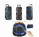  Cheap Price Private Model Portable Trolley Speakers Home Theatre System