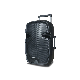  Professional Audio Portable 12 Inch Active DJ Karaoke Sound Box Trolley Bluetooth Speaker