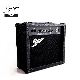  15W Factory Wholesale Price AMP Guitar Amplifier for Sale
