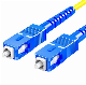  Sc to Sc Fiber Optic Jumper Singlemode Fiber Patch Cord