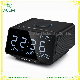 FM Radio Alarm Clock Docking Station USB Charging Support Android Ios