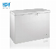 Commercial Freezer Single Door Chest Freezer 422L Model: Bd/Bc-422q