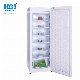  Upright Freezer Single Door Drawer Freezer Refrigerator Model: Bd-310b