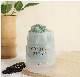  New Wholesale Bulk Home Decorative Clear Glass Fragrance Crystal Stone Aroma Diffuser with Essential Oil Gift Sets
