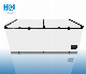 Commercial Big Capacity Double Door Chest Freezer 1100L Model: Bd/Bc-1100