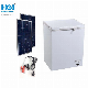  112L Model: Bd/Bc-112DC 12V 24V Compressor DC Solar Freezer