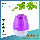  High Quality Ultrasonic Humidifier with Rainbow LED Night Light