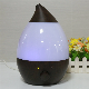 2.4L Big Capacity Bottle Humidifying (TH-001)