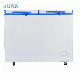  268liter 12V/24V Chest Freezer Commercial Freezer