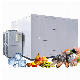  Cool Design Refrigeration Equipment Walk in Cold Room Freezer & Cooler Cold Storage