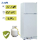  185L 225L 275L LPG AC DC Double Door Absorption Gas Fridge Refrigerator