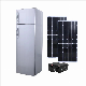 Competitive Price 12V DC Mini Compressor Solar Freezer Refrigerator Fridge