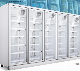  Commercial Quick Freezer, Split Refrigerated Freezer Showcase (Model: LF3400CFA2H/L)