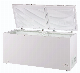 Double Top Foaming Door Freezer Deep Freezer with Lock