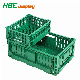  Vegetables Folding Plastic Crates for Storing Milk, Potato, Eggs