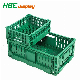Vegetables Folding Plastic Crates for Storing Milk, Potato, Eggs